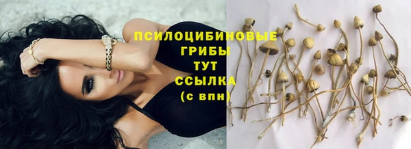 синтетический гашиш Гусь-Хрустальный