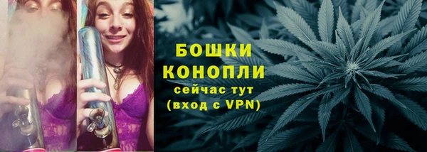 дурь Щигры