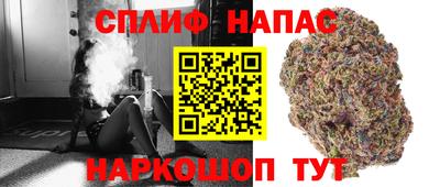 стафф Краснознаменск