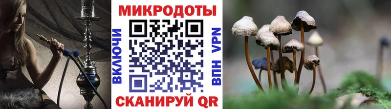 магазин продажи наркотиков  Можайск  Галлюциногенные грибы мицелий 