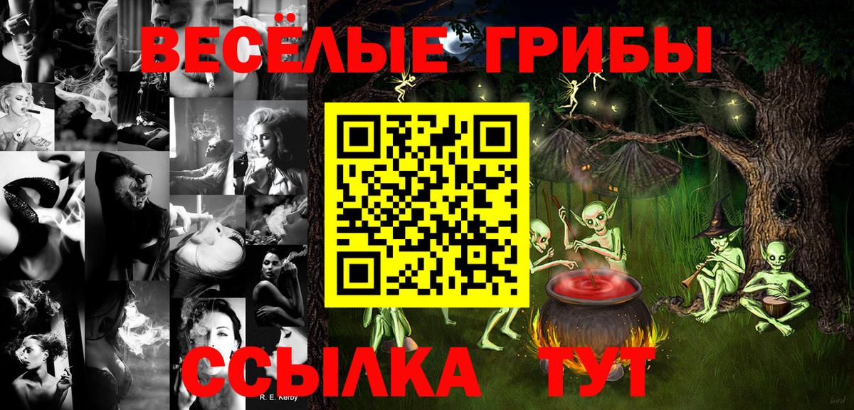 APVP Можайск