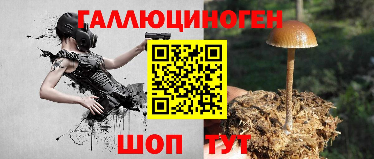 Можайск  Галлюциногенные грибы прущие грибы  Вход с VPN  Галлюциногенные грибы мицелий 