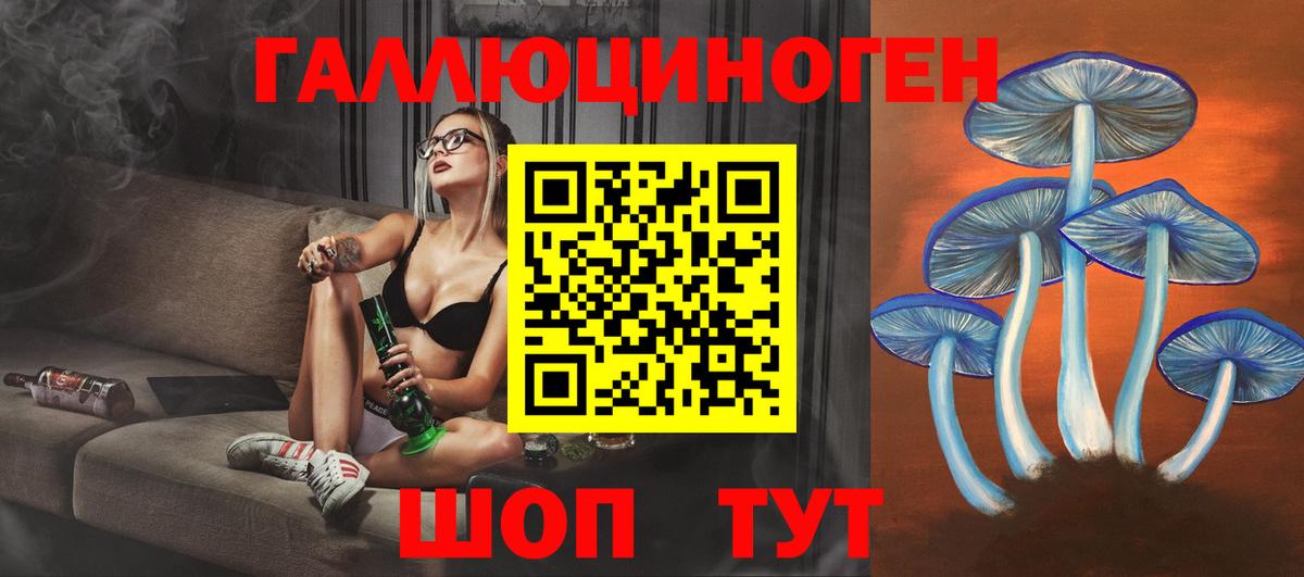 Галлюциногенные грибы ЛСД  Можайск  что такое   Галлюциногенные грибы Psilocybe 